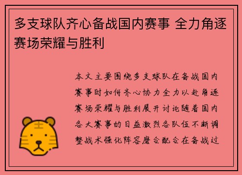 多支球队齐心备战国内赛事 全力角逐赛场荣耀与胜利