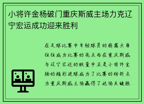 小将许金杨破门重庆斯威主场力克辽宁宏运成功迎来胜利
